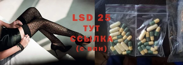 хмурый Аркадак