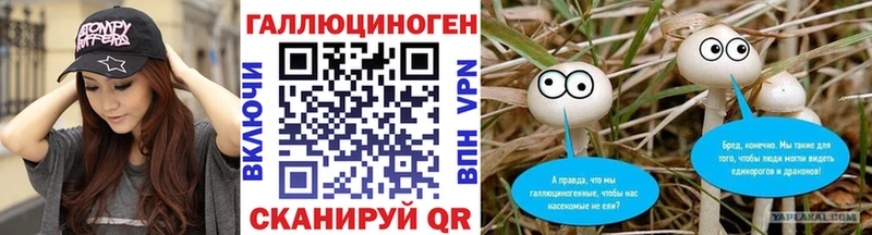 Галлюциногенные грибы Psilocybe  Глазов 