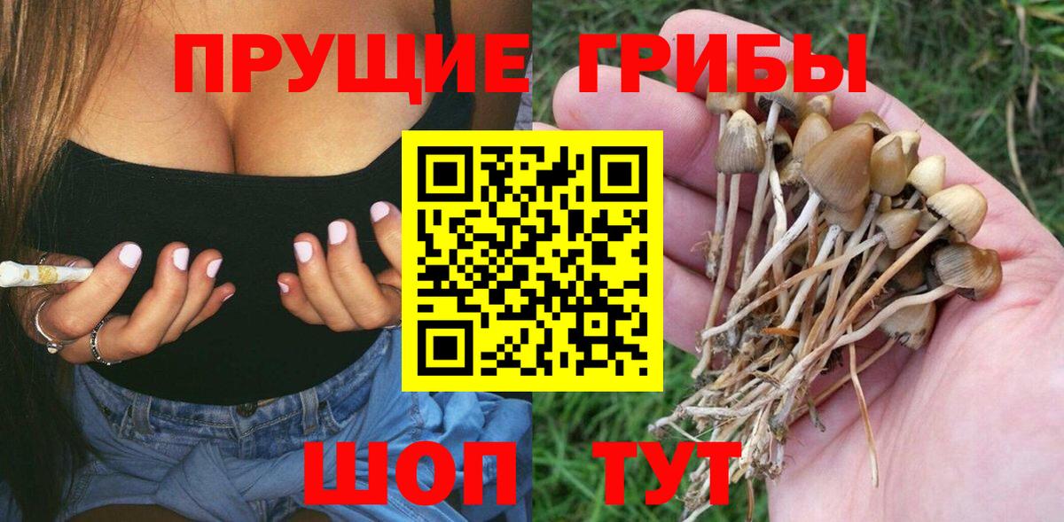 Галлюциногенные грибы MAGIC MUSHROOMS  купить наркоту  Галлюциногенные грибы прущие грибы  Глазов  Вход с VPN 